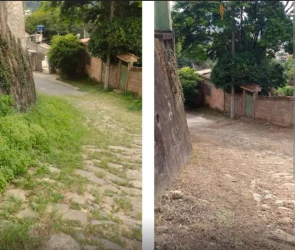 Limpeza de terrenos , e casas. ( Capinagem