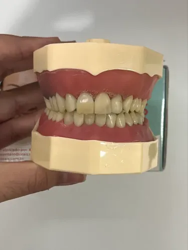 Manequim Anatomia e Escultura/Dentística - Orais