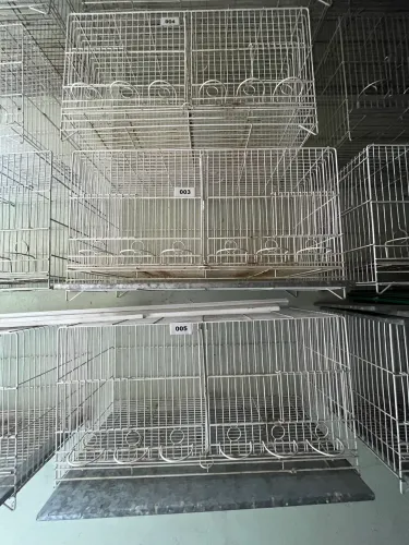 Gaiola para canário