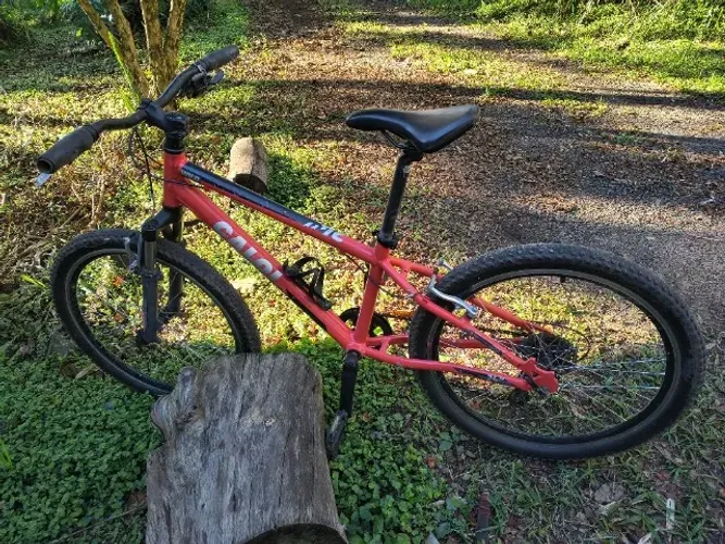Bicicleta Caloi Wild Aro 24