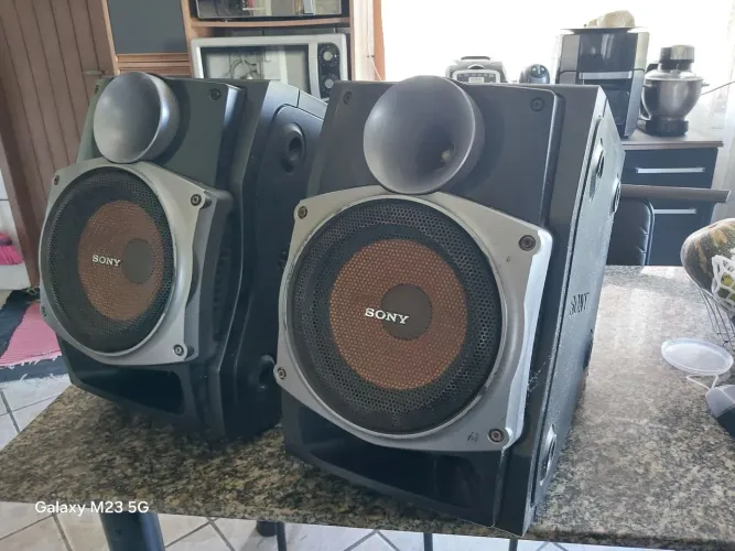 Par caixas acusticas Sony zux9