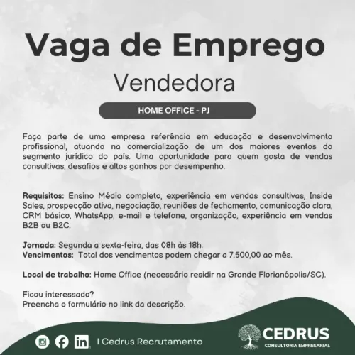 Vendedora - Comercial