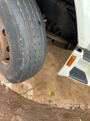 Ford cargo cavalos 43/31