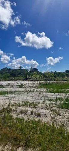 Lotes lado praia Taipu de Fora