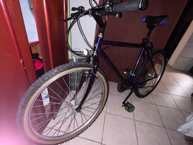 Bicicleta Retrô vintage 