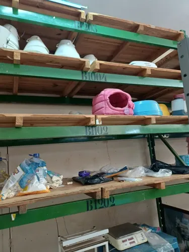 Porta Pallets para depósitos