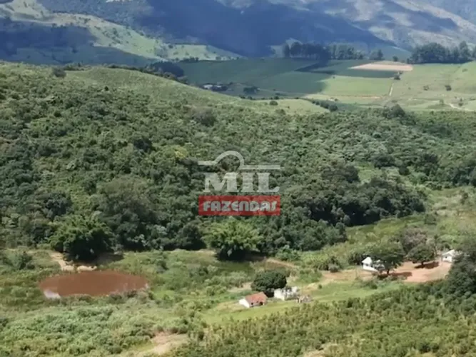 Fazenda Produtora de Café em SP (164 Hectares)