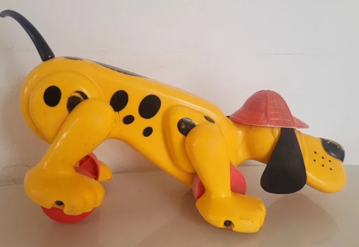 Antigo cachorro Xereta da Estrela