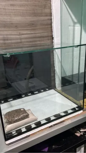 Aquário cubo