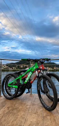 Bike Vikingx Tuff 25