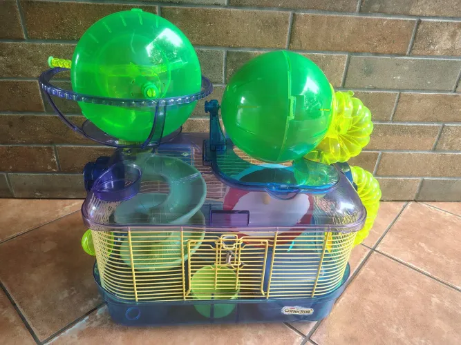 Gaiola Hamster - Colorida e divertida 