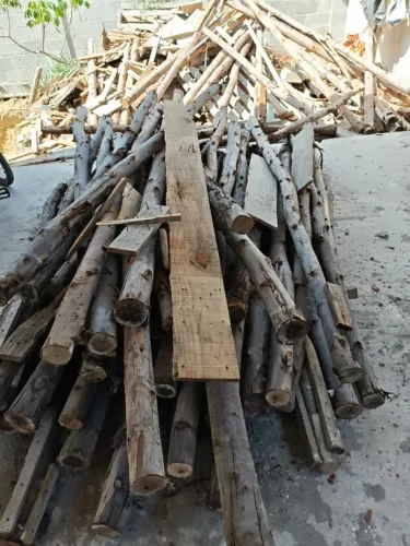 Estava eucalipto
