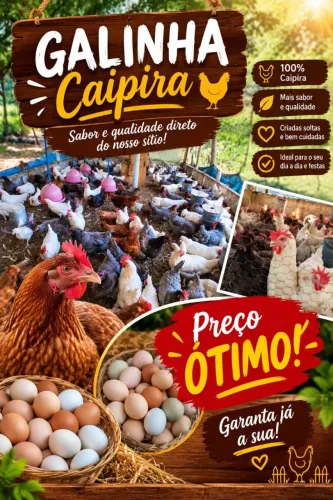 Galinha