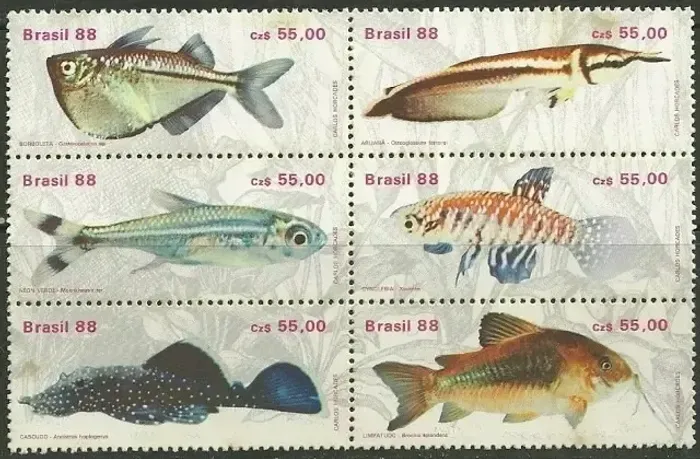 SELOS BRASIL 1988 - LINDO LOTE COM 6 SELOS - PEIXES DE ÁGUA DOCE