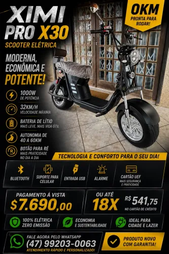 Scooter elétrica 1000w