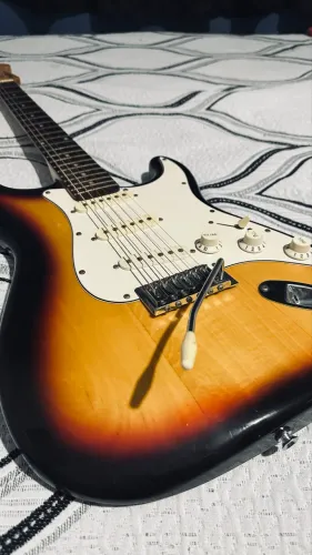 Guitarra Shelter California Standard