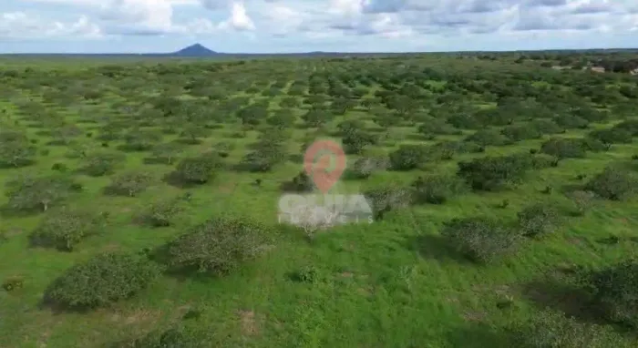 Gigante Oportunidade Rural em Aracoiaba: Fazenda Produtiva com 170 Hectares REF: 4786