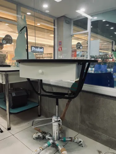 Mesa hidráulica redonda para Pet Shop Metalvet