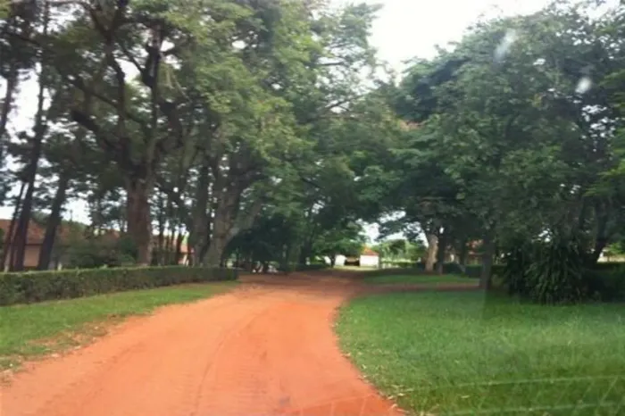 *EXCELENTE FAZENDA EM CANA A VENDA NA REGIÃO DE PRESIDENTE PRUDENTE-SP* ?? Área Total: 1.2