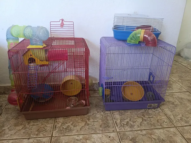 Gaiolas para roedores