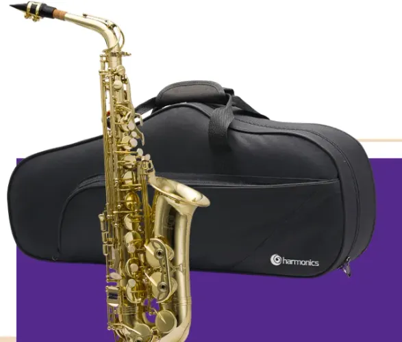 Saxofone Alto Harmonics NOVO c/ NF - 10x no cartão - Envio p/ todo Brasil