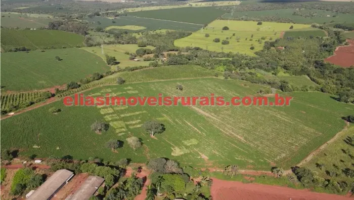 Área 19,54 ha - 2 km da BR-365 - Cultivo soja 