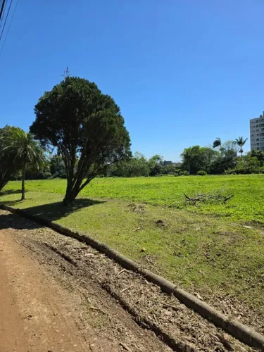 Lote/Terreno para venda tem 4500 metros quadrados em Cidade Nova - Itajaí - Santa Catarina
