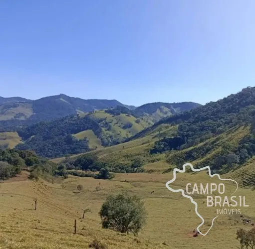 ÁREA RURAL 31,5 ALQUEIRES COM PASTO FORMADO EM DELFIM MOREIRA - MG !