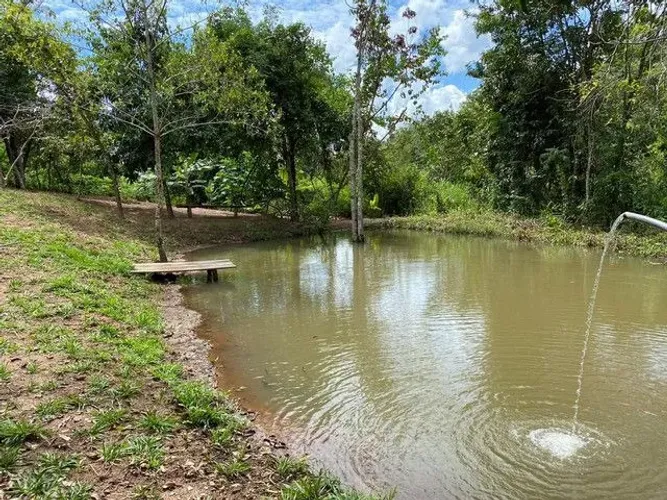 Licenciamento Ambiental - Dispensa de Licença - Consultoria Ambiental