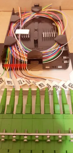 Mini Dio 12×1 Rosenberg Domex