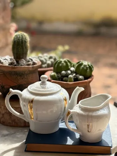Conjunto de chaleira e molheira de porcelana monte alegre ?