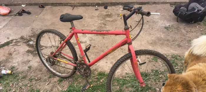 Bicicleta 100 pra vim buscar