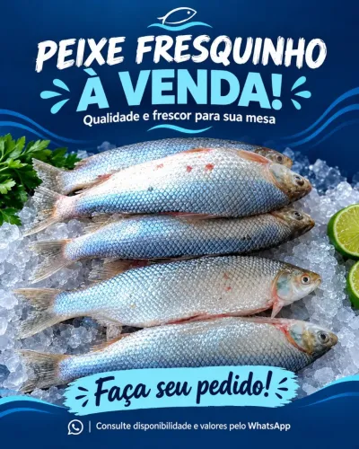 CURIMATÃ DISPONÍVEL