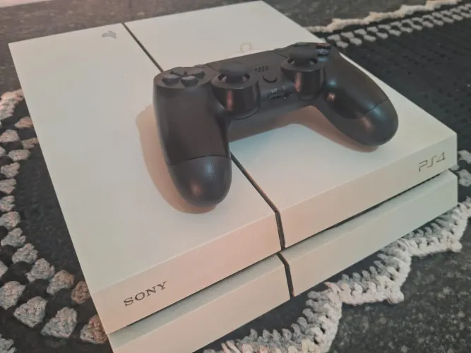 Play Station Fat 500g