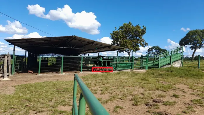 Fazenda 23.7 alqueires ( 115 hectares )- Hidrolina-GO