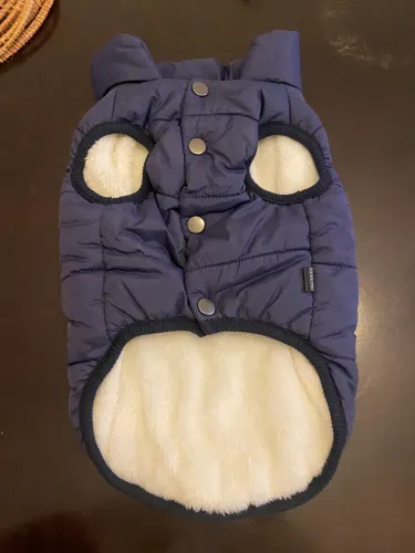 Roupinha para cachorro