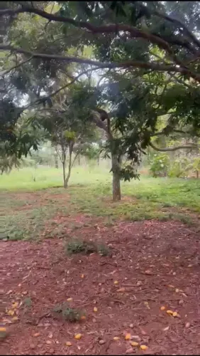 Vendo chácara no Altiplano Leste