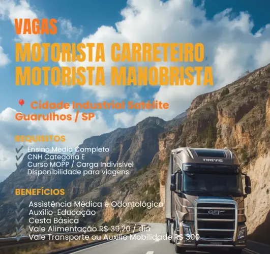Motorista Carreteiro