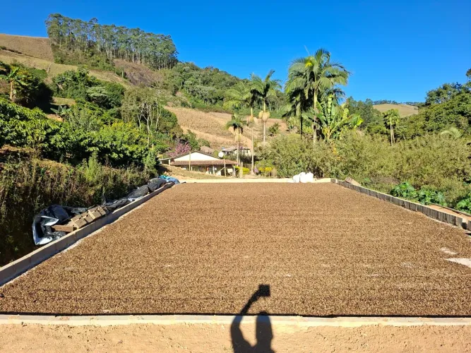 Sítio Sonho Meu (Café) - 5 hectares em Afonso Cláudio/ES