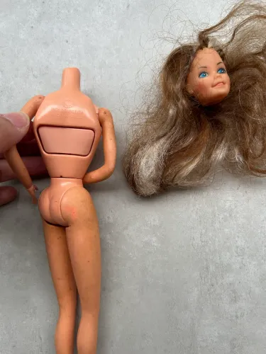 Barbie Formiga