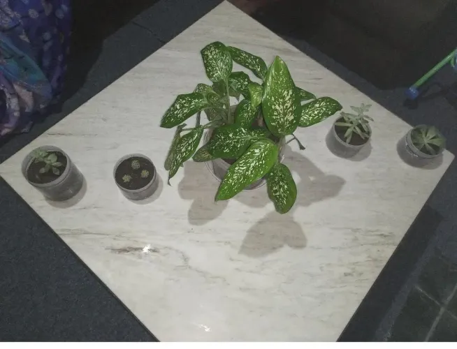 Mesa de centro