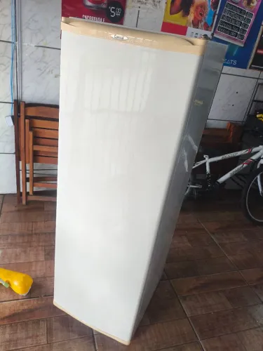 Freezer vertical