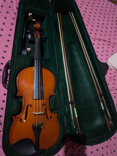 Vendo violino Michael 