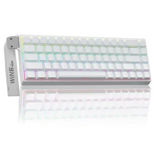 Teclado gamer AULA WIN68he