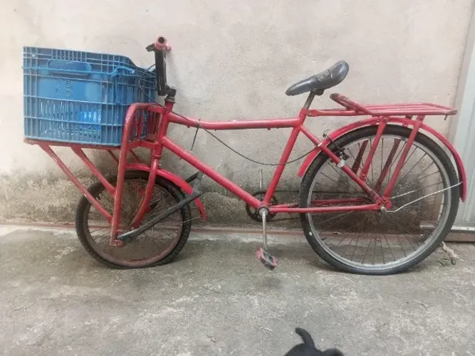 BICICLETA CARGUEIRA