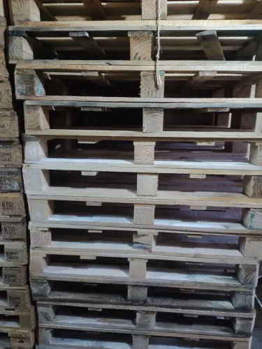 Pallet pinus e eucalipto 