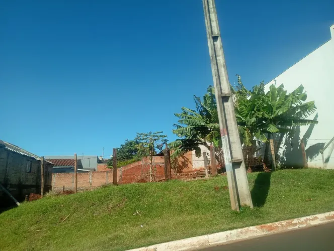 Meia data Jardim das flores 