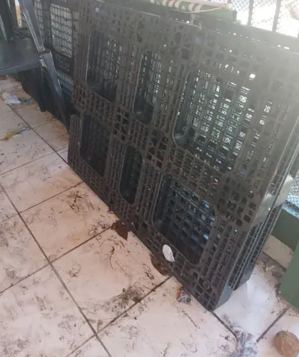 Palett's de plástico reforçado com 1,20x1000x15