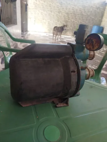 Bomba Schneider