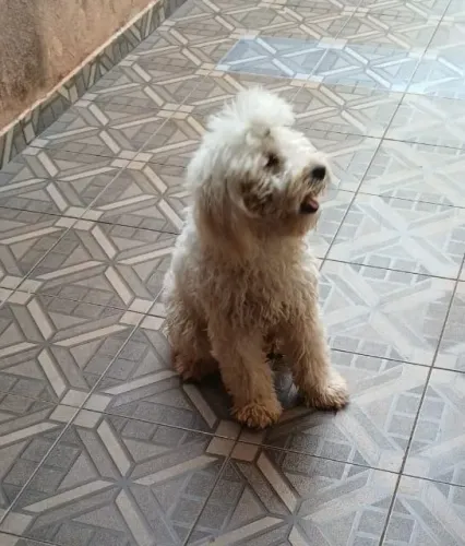 Doação